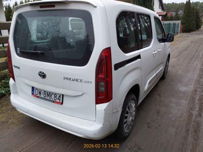 PROACE