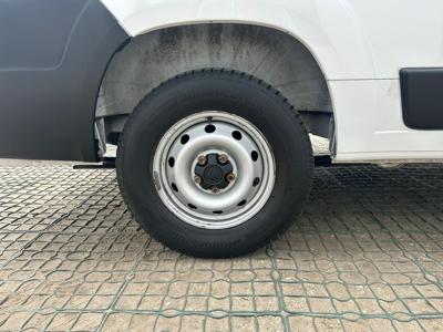 Ducato