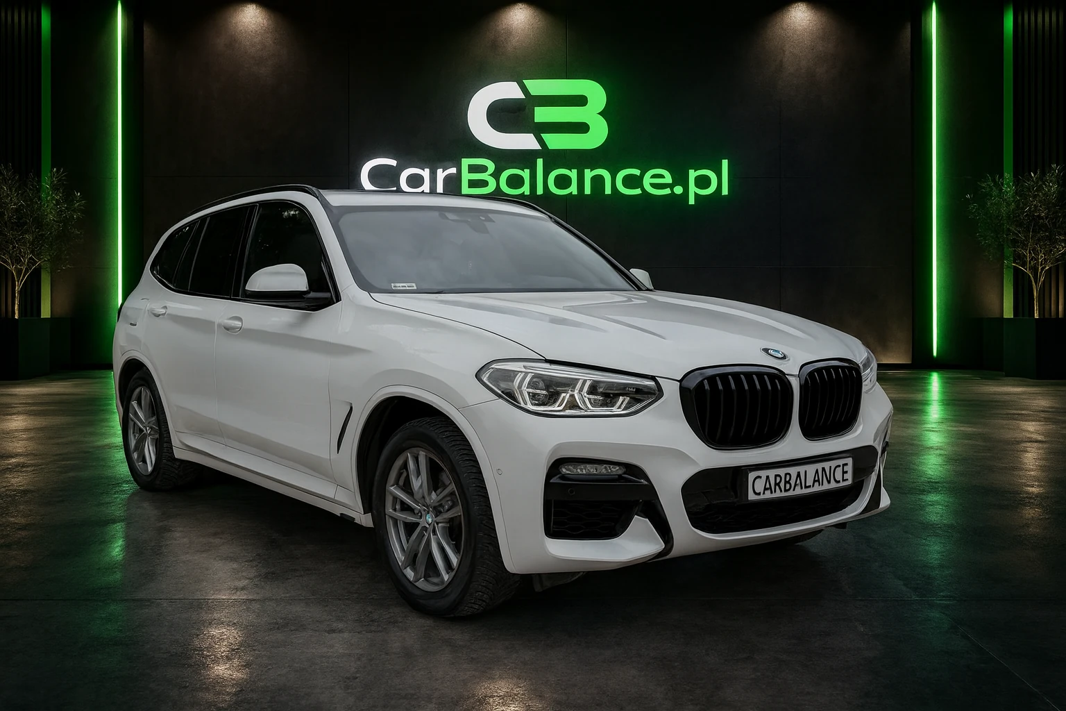 Bmw X3 (2019)
